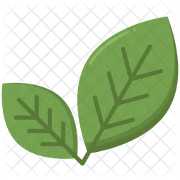 Green Leaf  Icon