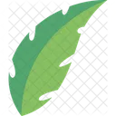 Green Leaf Leaf Nature Icon