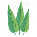 Green Leaf  Icon