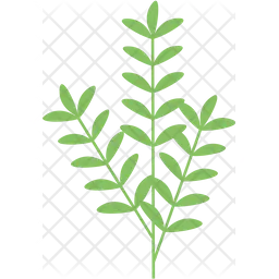 Green Leaf  Icon