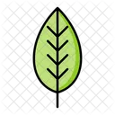 Green leaf  Icon