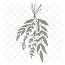 Green Leaf Leaf Nature Icon