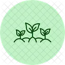 Green Leaves Field Green Leaves Icon