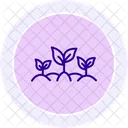 Green Leaves Field Green Leaves Icon