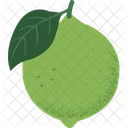 Green Lemon Veggies Food Icon