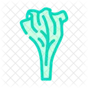 Green Lettuce  Icon