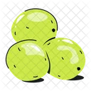 Green Macadamia Macadamia Nuts Dry Fruit Icon