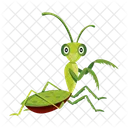 Praying Mantis Icons Cute Mantis Mantodea Icon