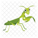 Green Mantis  Icon
