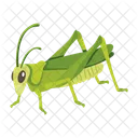 Green Mantis  Icon