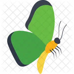 Green Morpho Side View  Icon