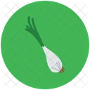 Green Onion Scallion Icon