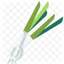 Green onion  Icon