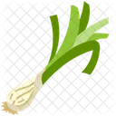 Green Onion Organic Vegetable Icon