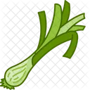 Green onion  Icon