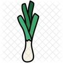 Green Onion Vegetable Organic Icon