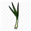 Green Onion  Icon