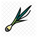 Green Onion Onion Green Icon