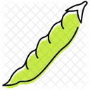 Green Pea Fresh Vegetables Icon