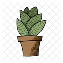 Green Plant  Icon