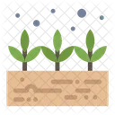 Green Plant  Icon