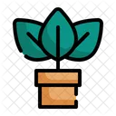Leaves Growth Tree Icon