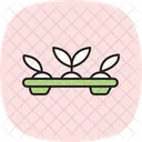 Green Plant Tray Icon