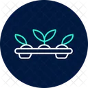 Green Plant Tray Green Plant Icon