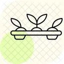 Green Plant Tray Green Plant Icon
