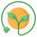 Green Bio Eco Icon