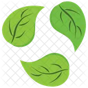 Green Recycle Leaves  Icon