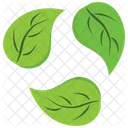 Green Recycle Leaves  Icon