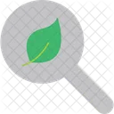 Green Research  Icon