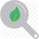 Green Research Icon