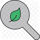 Green Research  Icon