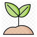 Green seedlings on the ground  Icon