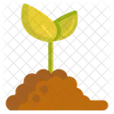 Green Sprout Sprout Baby Plant Icon