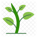 Green Sprout Gardening Green Icon