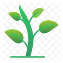 Green Sprout Gardening Green Icon