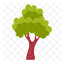 Green tree  Icon