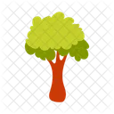 Tree Plant Nature Icon