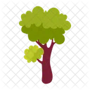 Green tree  Icône