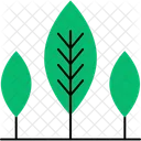 Nature Plant Tree Icon