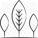 Nature Plant Tree Icon