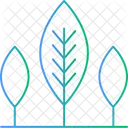 Nature Plant Tree Icon