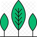 Nature Plant Tree Icon