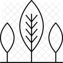 Nature Plant Tree Icon