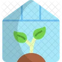 Greenhouse Cultivation Plant Icon