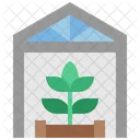 Greenhouse Hothouse Cultivation Icon