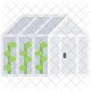 Greenhouse Plant Sprout Icon